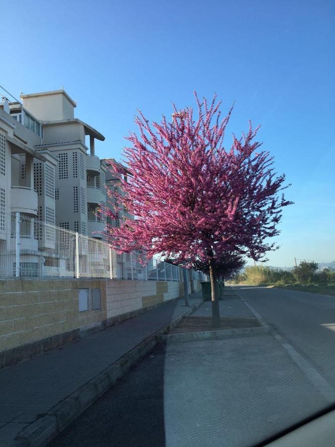 Apartamento Planta baja Playa Sol 2 Dénia Exterior foto